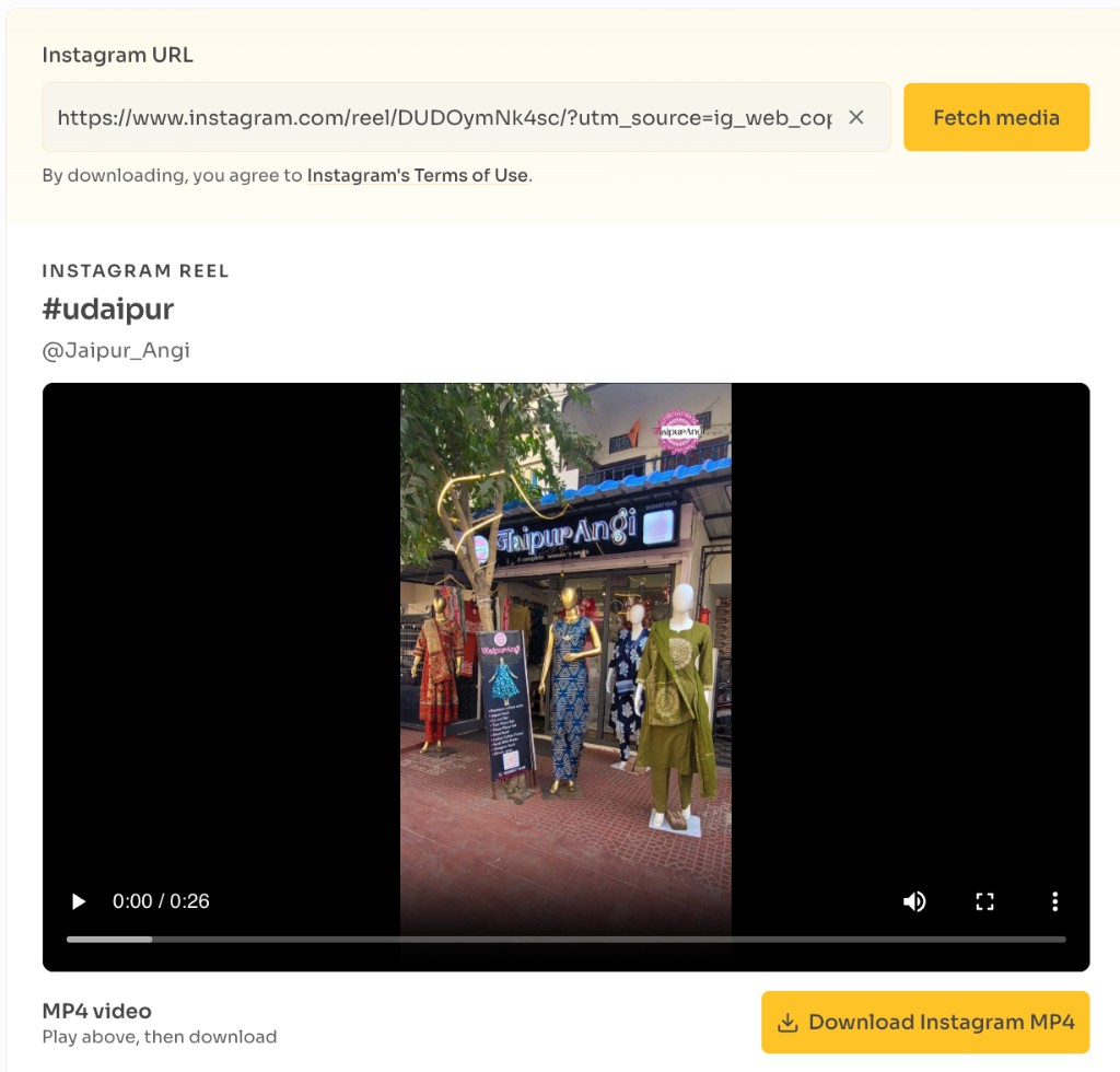 How to download an Instagram video — Download the file — Preview the Instagram Reel and click Download Instagram MP4
